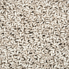 Brink & Campman Origin Loop Plain Rug Greige close-up view picture of the pile design