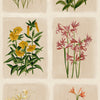 Laura Ashley Pershore Postcards Wallpaper Multi / Linen in beautiful loral design