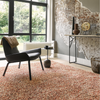 Brink & Campman Pop Art Shaggy Rug Coral lifestyle picture in the living room
