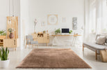 Prada Shaggy Rug Mink lifestyle picture