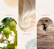 Pure Tranquility Room Mist 90 ml with its fragrance notes illustrated