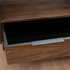 Ray Tv Unit Dark Teak close view picture of metal featuring