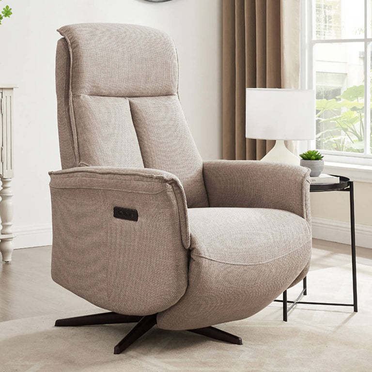 Riya Electric Reclining Accent Chair Mushroom