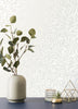 Salix Silver Leaf Wallpaper life style picture