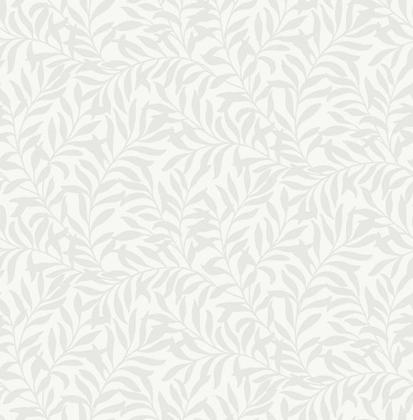 Salix Silver Leaf Wallpaper close view picture of the wallpaper design