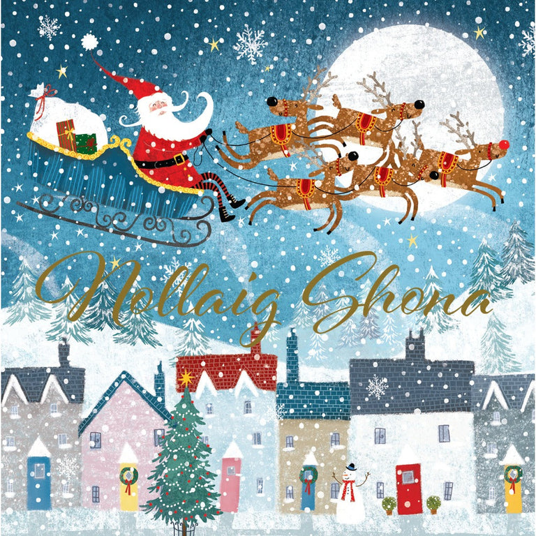 Santa and Sleigh Charity Christmas Cards Pack of 10