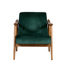 A Versatile Green Accent Chair Designed for Comfort and Style.