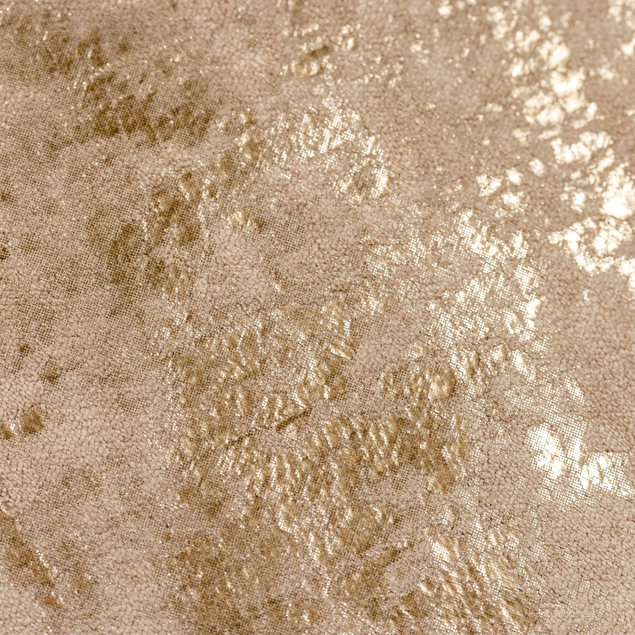 Natural Scatter Cushion | Lunetta Metallic Soft Furnishing - Foy and ...
