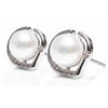 Silver Mother of Pearl Earrings picture on the white background