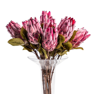 Single Protea Stem