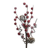 Spray Foam Snow Berries Pinecone picture on the white background