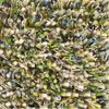 Brink & Campman Spring Shaggy Rug Evergreen close-up view picture of the pile color palette