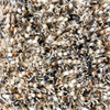 Brink & Campman Spring Shaggy Rug Natural close-up view picture of the pile color palette