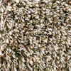 Brink & Campman Spring Shaggy Rug Moss close-up view picture of the pile color palette