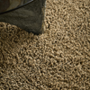 Brink & Campman Sprout Plain Rug Dusty Ground top-view picture of the rug color hue