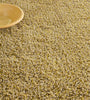 Brink & Campman Sprout Plain Rug Ceylon Sand woolen shaggy rug