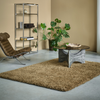 Brink & Campman Sprout Dusty Ground Rug 013319 life style picture