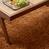 Brink & Campman Sprout Terracotta Rug 013323 close view life style picture