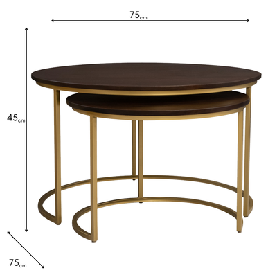 Tiya Nest of 2 Coffee Tables Dark – Modern Living Room Tables