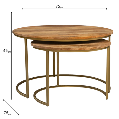Tiya Nest of Tables Natural – Modern 2-Piece Coffee Table Set