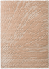 Brink & Campman Twinset Shore Abstract Rug Tan picture of the rug design