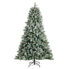 Christmas Tree Windham Spruce Frosted 210 cm picture on the white background