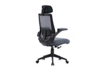 Zeke Ergonomic Office Chair Grey picture from the back