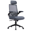 Zeke Ergonomic Office Chair Grey picture on the white background