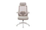 Zeke Ergonomic Office Chair Natural front view picture