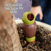 Adorable toad-shaped plant watering spike