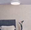 Iben Light Flush: Modern Lighting Excellence