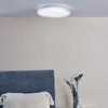 Iben Light Flush: The Ultimate Ceiling Light