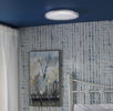 Transform Your Space with Iben Light Flush