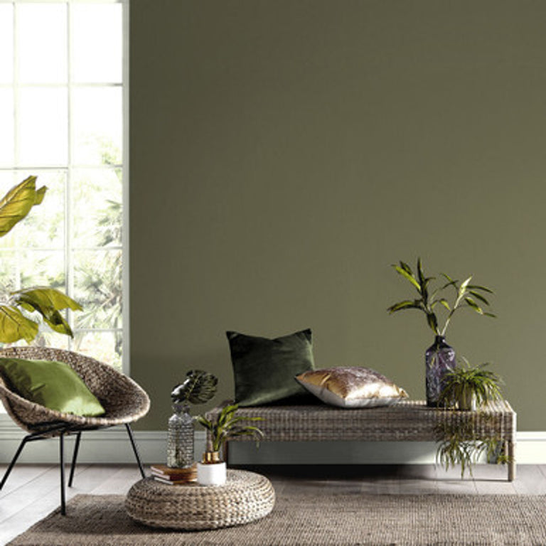 Graham & Brown Battle Paint