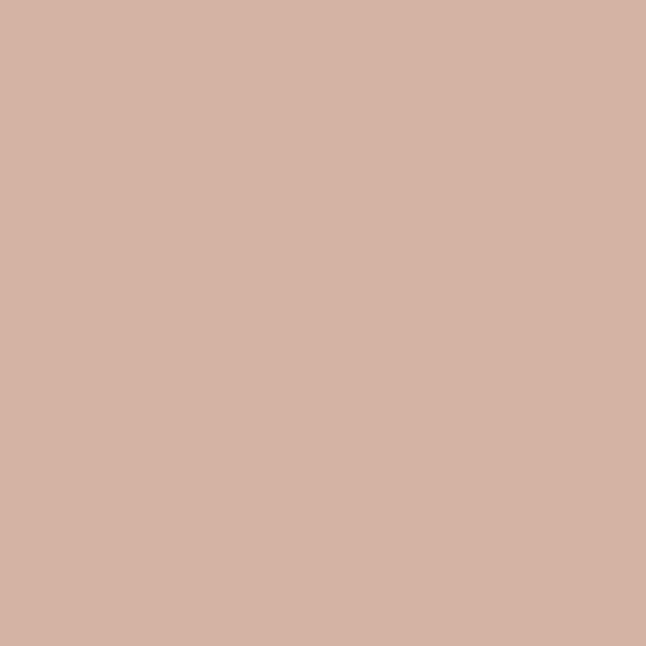 Graham & Brown Capulet Paint close view picture of the paint color hue