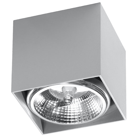 Timeless flush mount ceiling light in grey for any interior design