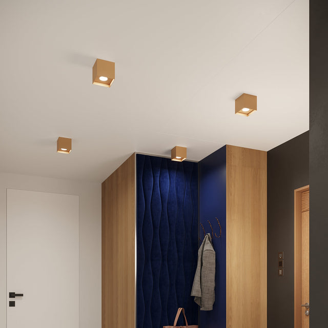 Sollux Lighting Ceiling Lamp HATI Gold
