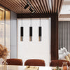 Contemporary LOOPEZ ceiling fixture combining matte black and chrome finishes