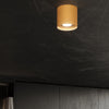 Stylish LED Lights: MIKA Gold Ceiling Light for Modern Homes
