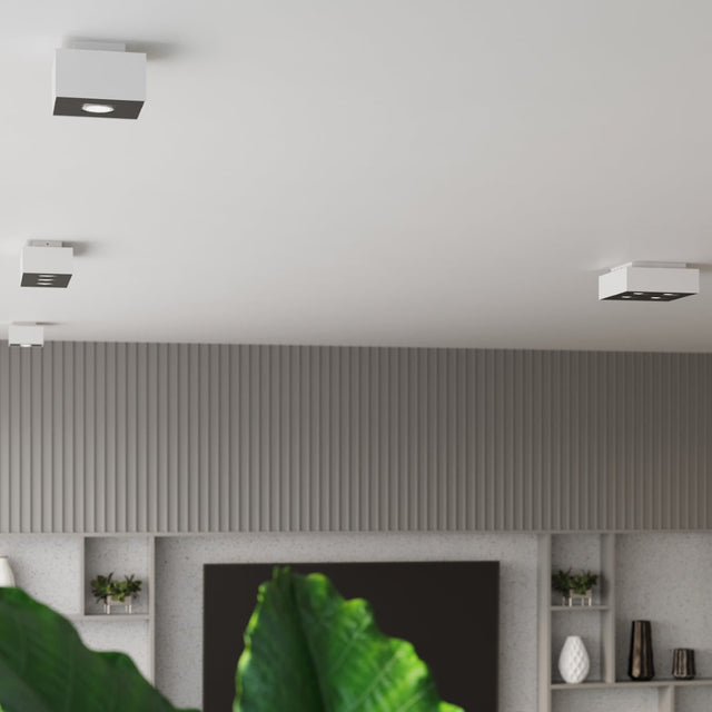 Sollux Lighting Ceiling Lamp MONO 2 White