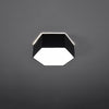 Minimalist white flush ceiling lamp Sollux Lighting Ceiling lamp SUNDE 11 black