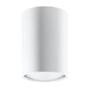 Modern flush mount ceiling light Sollux Lighting Ceiling Lamp LAGOS 10 White