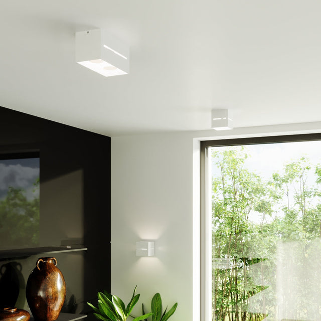 Sollux Lighting Ceiling Lamp LOBO White