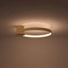 Golden glow Sollux Lighting Ceiling Lamp RIO 55
