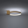 Sollux Lighting Ceiling lamp RIO 55 golden LED 4000K for modern interiors
