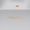 Contemporary Chandelier NELYA M golden 3000K Light for Any Room