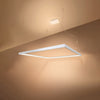 NELYA Pendant Lighting for Modern Aesthetics
