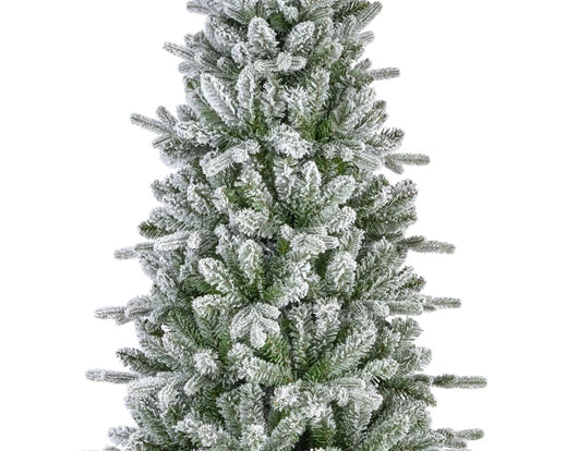 Christmas Tree Killington Fir Frosted