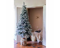 Versatile Christmas Tree Tora Pine Snowy for decorations