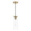  Stylish Jodelle Pendant Polished Bronze and Glass